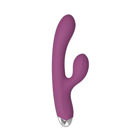 Dual rabbit vibrator Dual rabbit vibrator