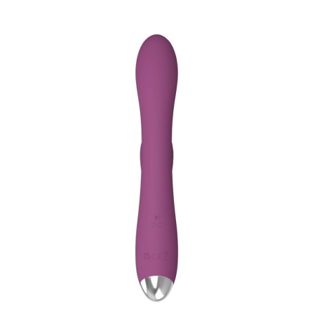 Dual rabbit vibrator Dual rabbit vibrator