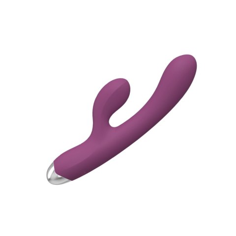 Dual rabbit vibrator Dual rabbit vibrator