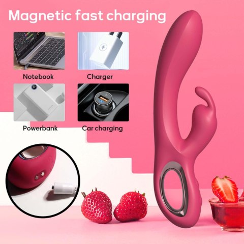 Rabbit vibrator PINK Rabbit vibrator PINK