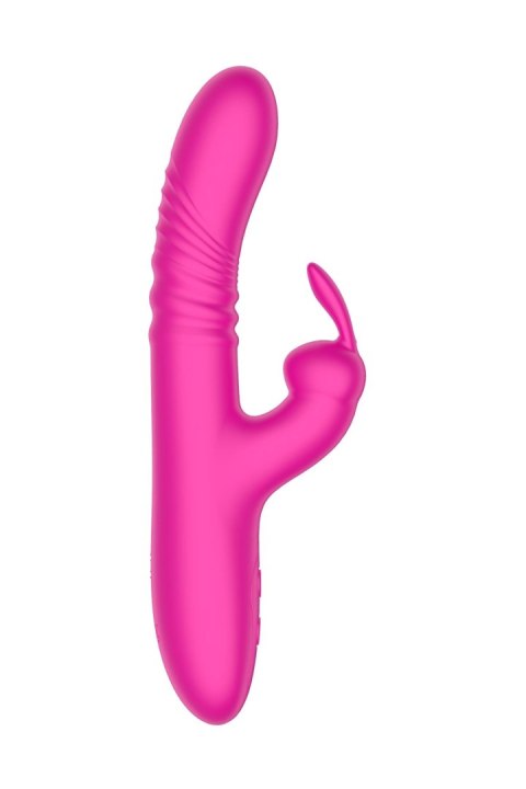 Rabbit vibrator Rabbit vibrator