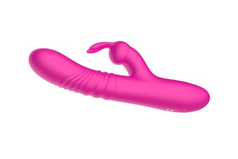 Rabbit vibrator Rabbit vibrator