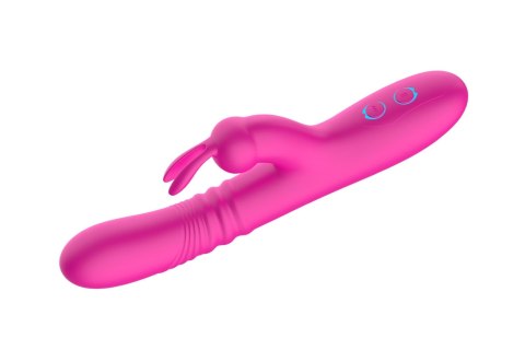 Rabbit vibrator Rabbit vibrator