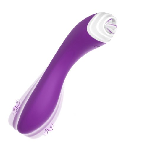 Fairyland purple Fairyland purple