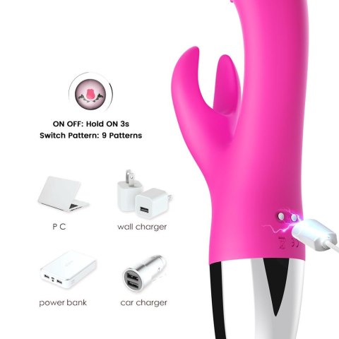 Rabbit pink Rabbit pink