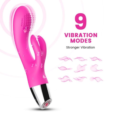Rabbit pink Rabbit pink