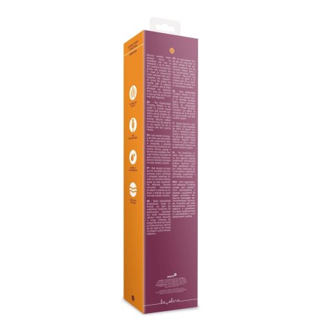 Double-Sided Thrusting Vibrator Double-Sided Thrusting Vibrator