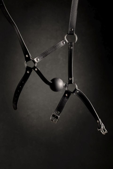 Head Harness with Solid Ball Gag - Black Head Harness with Solid Ball Gag - Black