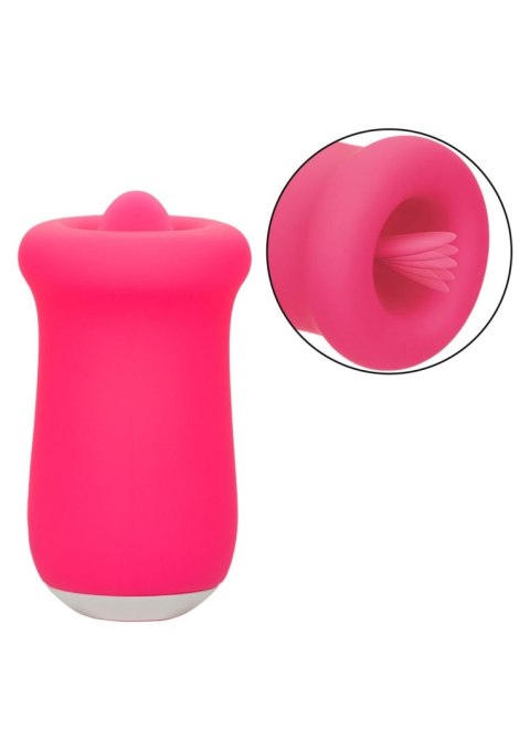Sugar Craze Pink Sugar Craze Pink