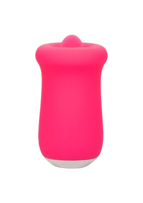Sugar Craze Pink Sugar Craze Pink