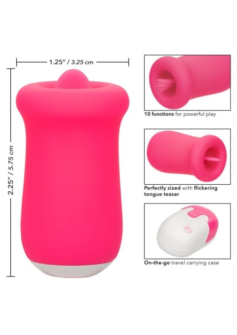 Sugar Craze Pink Sugar Craze Pink