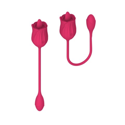 Stymulator - Licking massager with vibrating Egg USB 10 Functions Stymulator - Licking massager with vibrating Egg USB 10 Functions