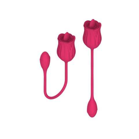Stymulator - Licking massager with vibrating Egg USB 10 Functions Stymulator - Licking massager with vibrating Egg USB 10 Functions
