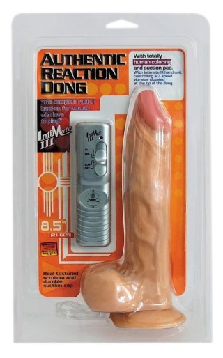 Wibrator Reaction Dong