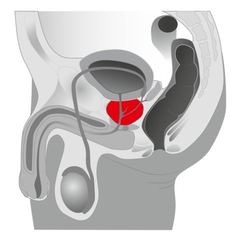Masażer prostaty - Joystick Prostata Booster, black Masażer prostaty - Joystick Prostata Booster, black