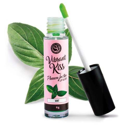 LIP GLOSS VIBRANT KISS MINT LIP GLOSS VIBRANT KISS MINT