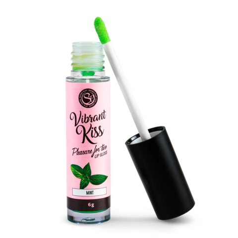 LIP GLOSS VIBRANT KISS MINT LIP GLOSS VIBRANT KISS MINT