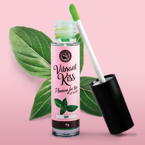 LIP GLOSS VIBRANT KISS MINT LIP GLOSS VIBRANT KISS MINT